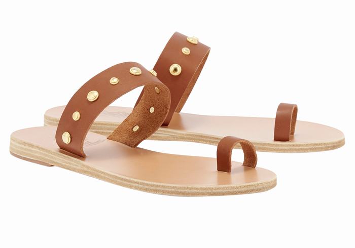 Sandales Toe-Post Ancient Greek Sandals Thalia Bee   | WMK-6358600